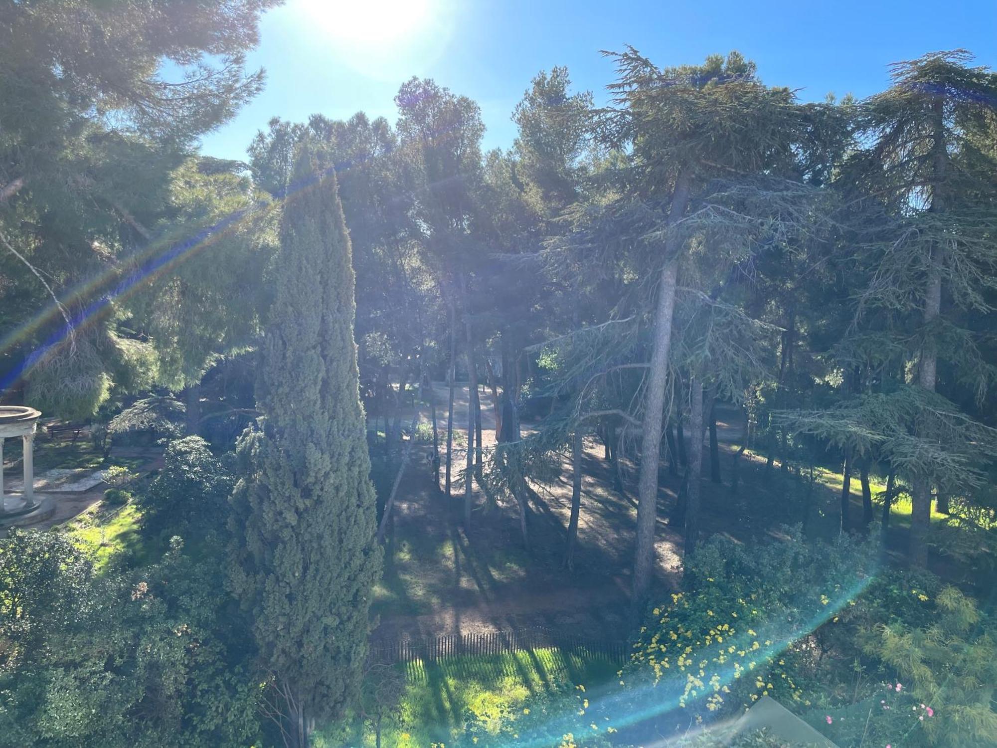 Bandol - Plage De Renecros Kültér fotó